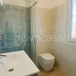 Rent 2 bedroom apartment of 50 m² in Santa Marinella