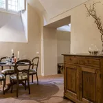 Rent 1 bedroom apartment of 55 m² in Florence