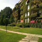 Rent 3 bedroom apartment of 100 m² in Pioltello