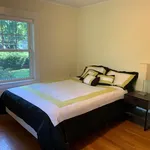 Room in Beautiful Belmont - Looking for Housemate