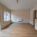 Rent 1 bedroom apartment in Brugge