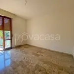 Rent 4 bedroom apartment of 72 m² in Bologna