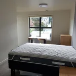 Rent 3 bedroom apartment in Dunedin