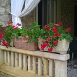 Rent 4 bedroom house of 110 m² in Pietrasanta