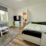 Rent 1 bedroom apartment in Vsetín