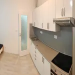 Rent 1 bedroom apartment of 26 m² in České Budějovice