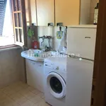 Rent 1 bedroom apartment of 25 m² in Rome