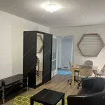 Rent 2 bedroom apartment of 58 m² in budapest