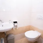 Rent 2 bedroom apartment of 100 m² in Budapest