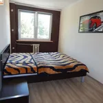 Rent 2 bedroom apartment of 38 m² in Bytom