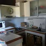 Rent 3 bedroom apartment of 75 m² in Palermo