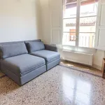 Rent 1 bedroom apartment of 50 m² in bologna