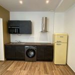 Rent 1 bedroom apartment of 32 m² in Saint-Étienne