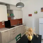 Rent 2 bedroom apartment in Bologna