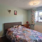 Semi-detached house to rent in Ruby Close, Wokingham RG41