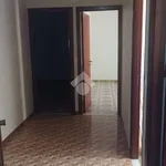 Rent 4 bedroom apartment of 117 m² in Bagheria