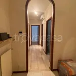 Rent 3 bedroom apartment of 80 m² in Piacenza