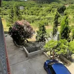 Rent 2 bedroom apartment of 50 m² in Sant'Agata de' Goti