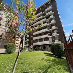 Rent 3 bedroom apartment of 97 m² in Corsico