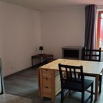 Rent 1 bedroom apartment in SAINT JUST EN CHEVALET