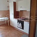 Rent 3 bedroom apartment of 100 m² in Frosinone