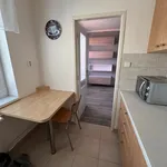 Rent 2 bedroom apartment in Pardubice