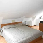 Rent 1 bedroom apartment of 35 m² in Pavia