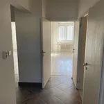 Pronajměte si 3 ložnic/e byt o rozloze 76 m² v Most