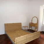 Rent 3 bedroom apartment of 80 m² in Roma