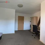 Rent 1 bedroom apartment of 12 m² in Trhový Štěpánov