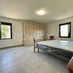 Rent 3 bedroom apartment of 58 m² in Perugia