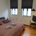 Rent 1 bedroom apartment of 50 m² in Erfurt