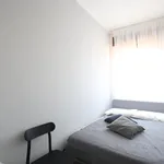 Rent 4 bedroom apartment in Modena