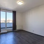 Rent 2 bedroom apartment of 44 m² in Plzeň