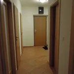 Pronajměte si 1 ložnic/e byt o rozloze 55 m² v Prague