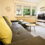 Rent 1 bedroom apartment of 45 m² in Dortmund