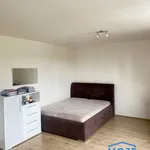 Pronajměte si 1 ložnic/e byt o rozloze 365 m² v Pilsen