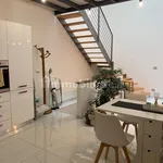 Rent 2 bedroom apartment of 65 m² in Turin