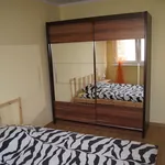 Rent 3 bedroom apartment of 60 m² in Szczecin