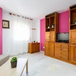 Rent 1 bedroom apartment of 50 m² in Cádiz