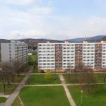 Rent 2 bedroom apartment in Trutnov