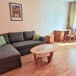 Rent 1 bedroom apartment of 47 m² in berlin