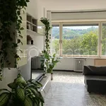 Rent 3 bedroom apartment of 80 m² in Torino