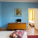 Rent 1 bedroom apartment in Bologna