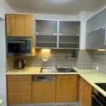 Rent 3 bedroom apartment of 120 m² in Prague