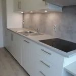 Rent 3 bedroom apartment in Wommelgem