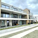 Rent 2 bedroom apartment in BAASRODE