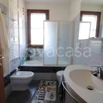 Rent 2 bedroom apartment of 50 m² in Firenze