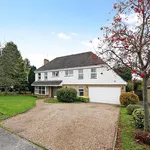 Rent 5 bedroom house in Surrey