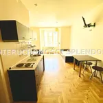 Rent 1 bedroom apartment of 28 m² in Krakow